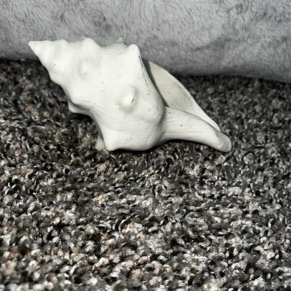 Ceramic Seashell - Picture 4 of 5